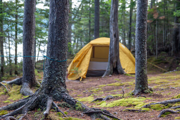 Camping in north western Maine.  - 363389657