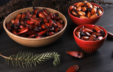 Typical araucaria seeds used as a condiment in Brazilian cuisine in winter. Brazilian pinion nuts in brown and red wooden bowl on gray wooden background