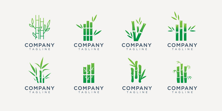 icon set bamboo logos design set template. leaf tree bambo logo inspiration.