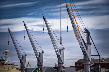 Fototapeta premium cranes in the harbor