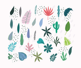 different tropical leaves foliage botancial nature icons isolated design
