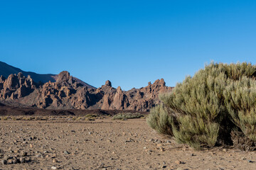 Totally deserted place with volcanic mountains and some bushes on the teide in the island of...