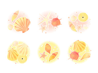 貝殻のイラスト素材のセット