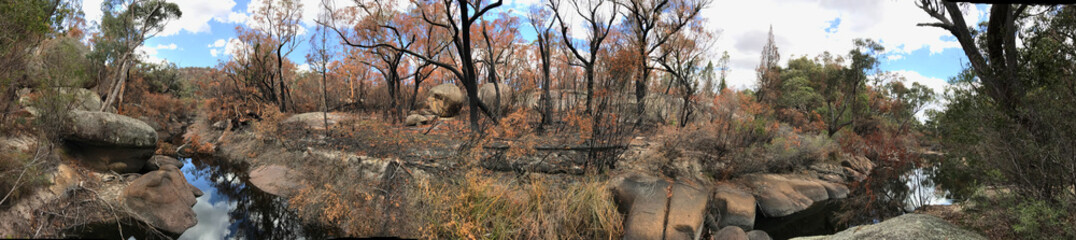 Girraween National Park is an area of the Granite Belt in the Darling Downs region of Queensland, Australia