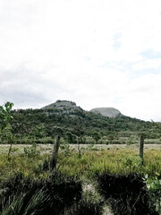 Fototapeta na wymiar Girraween National Park is an area of the Granite Belt in the Darling Downs region of Queensland, Australia