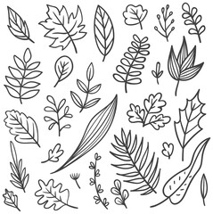 Set of leaves doodle