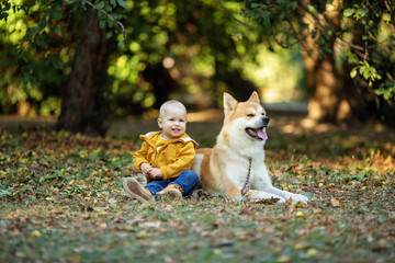 A little boy and a red dog sit in an autumn park