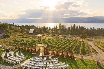 Wedding in the winery. Beautiful romantic set up. Decorated chairs and wedding arbor in front of...