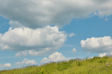 Obraz premium Landscape - green field, the blue sky and white clouds