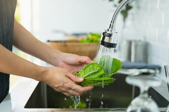 Wash the vegetables in the kitchen.  Housewife'hand cleans a green salad in water. Fresh vegetables to wash the sink. 