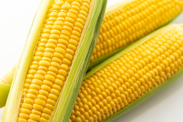 トウモロコシ