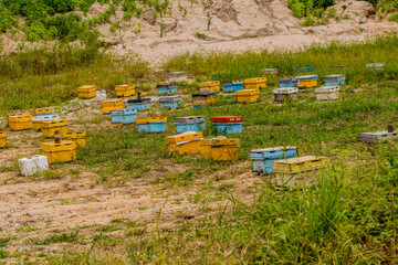 Honey bee hive boxes of various colors