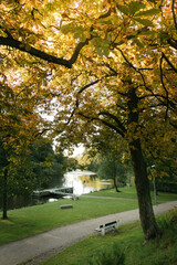walk path in a park close to a stream of water during early autumn
