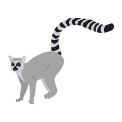 Fototapeta na wymiar Lemur Illustration