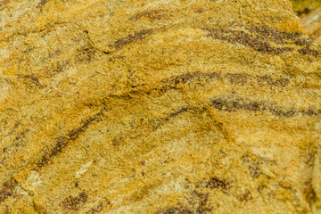 Closeup of exterior of hornet nest