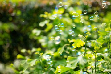 緑とシャボン玉