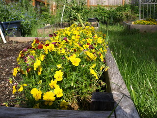 Garden flower bed