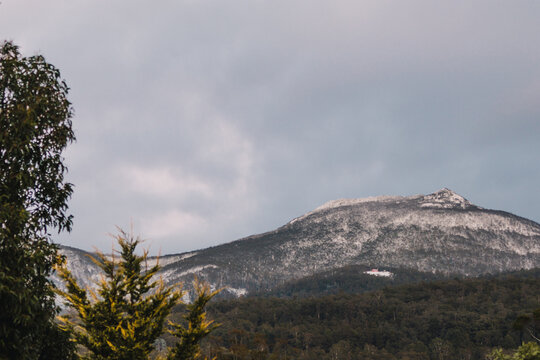 Tasmanian mountain landscape with vegetation in the foreground