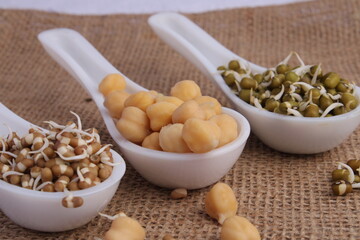 Spoon full of sprouts