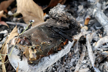 burnt leaf and plastic bottle texture