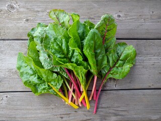 スイスチャード