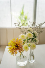 Gerbera, Marigold, arranged in a glass vase. Placed in the room to add freshness.