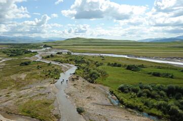 Fototapeta na wymiar A valley with a mountain river and grazing animals. Territory near the Khan Tengri mountain range.