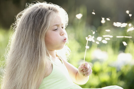 Girl blowing away dandelion, outdoors