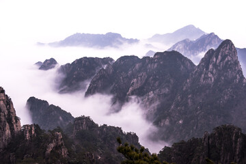 Wonderful and curious sea of clouds and beautiful Huangshan mountain landscape in China.