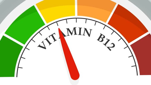 Gradient scale. Vitamin b 12 level measuring device. Sign tachometer, speedometer, indicators. Infographic gauge element.