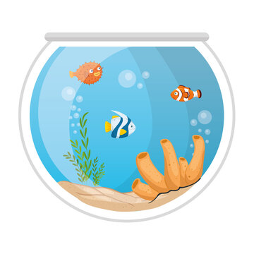 aquarium fishes with water, seaweed, coral, aquarium marine pets vector illustration design
