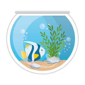 aquarium fish with water,seaweed, aquarium marine pet vector illustration design