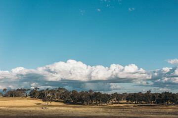 Obraz premium landscape with clouds and sky in the farm, winter in Australia