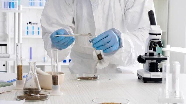 Scientist studying samples of soil in laboratory 