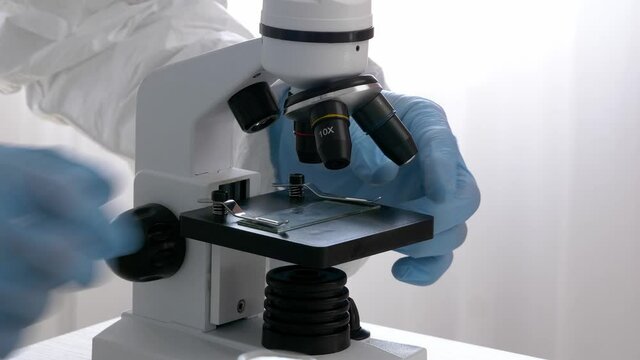 Scientist studying sample of soil in laboratory, closeup