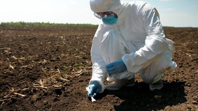 Scientist studying sample of soil in field