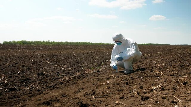 Scientist studying sample of soil in field