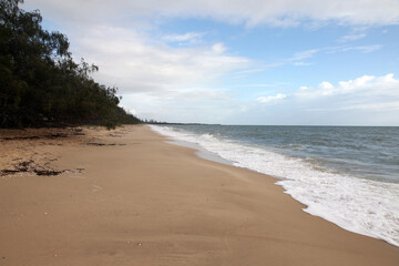 Fototapeta na wymiar Beautiful Woodgate Beach, Queensland, Australia. Pristine beaches and beautiful weather. Waves, shore, sand and foliage