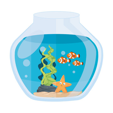 aquarium clownfish and starfish with water, seaweed, aquarium marine pet vector illustration design