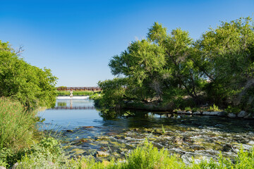 Fototapeta premium Sunny view of the natural landscape of Clark County Wetlands Park