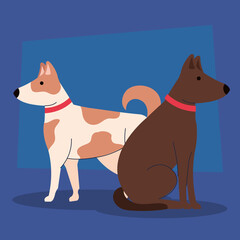 different breeds dogs on blue background vector illustration design