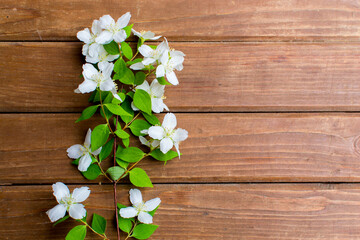 White flowers on a wooden brown background. Template with place for text. Frame of flowers.