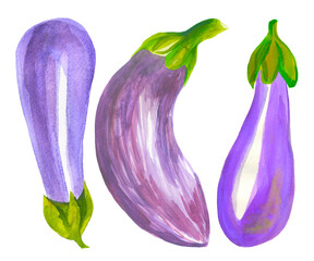 Set of aubergines ( eggplants). Hand drawn watercolor painting isolated on white background.