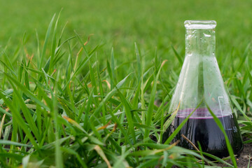 Image of a glass flask with a chemical solution on the background of young shoots of wheat.