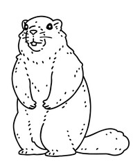 Marmot. Vector line art illustration.