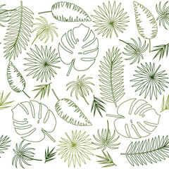 pattern of tropical leaves with a green outline on a white background, color vector illustration, texture, print, background, design, decoration