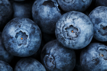 Blueberries close-up in full screen with dew drops.