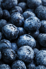 Blueberries close-up in full screen with dewdrops.