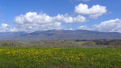 Paysage de Toscane en Italie