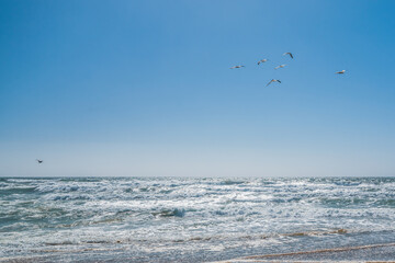 A flock of birds flying over the Pacific Ocean. Blue and turquoise colored sea waves, beautiful cloudy sky on background